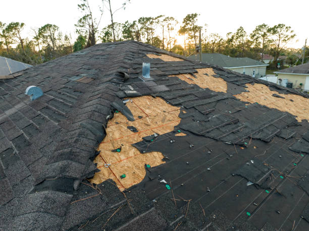 Gutter Replacement in Churchill, PA